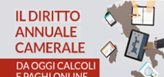 Diritto Annuale